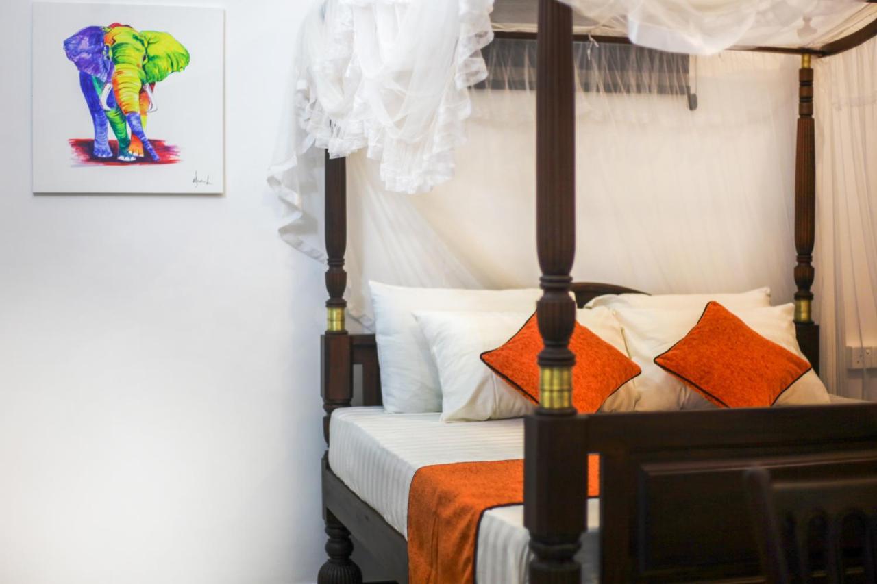 Mimoza Mirissa Bed & Breakfast エクステリア 写真