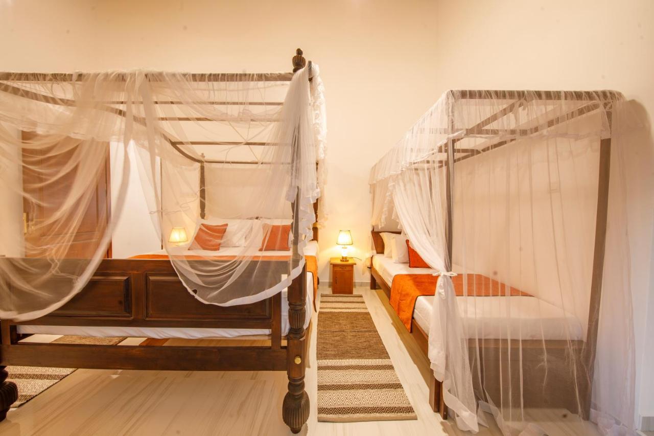Mimoza Mirissa Bed & Breakfast エクステリア 写真