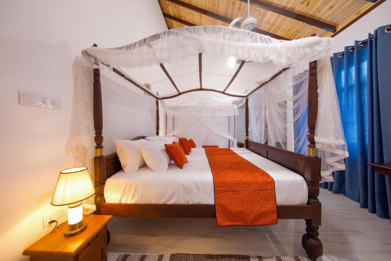 Mimoza Mirissa Bed & Breakfast エクステリア 写真