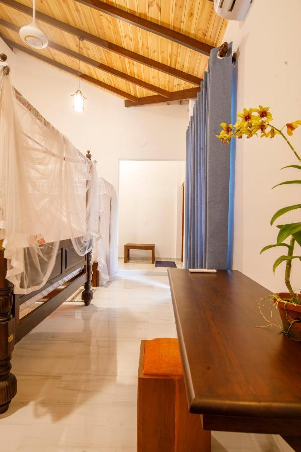 Mimoza Mirissa Bed & Breakfast エクステリア 写真